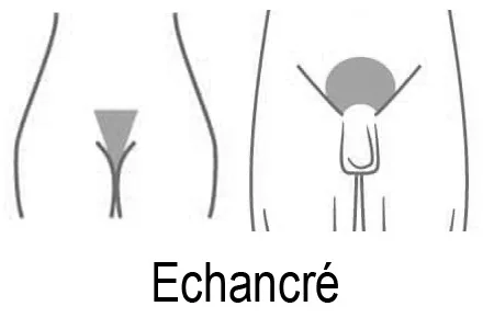 Maillot Echancré